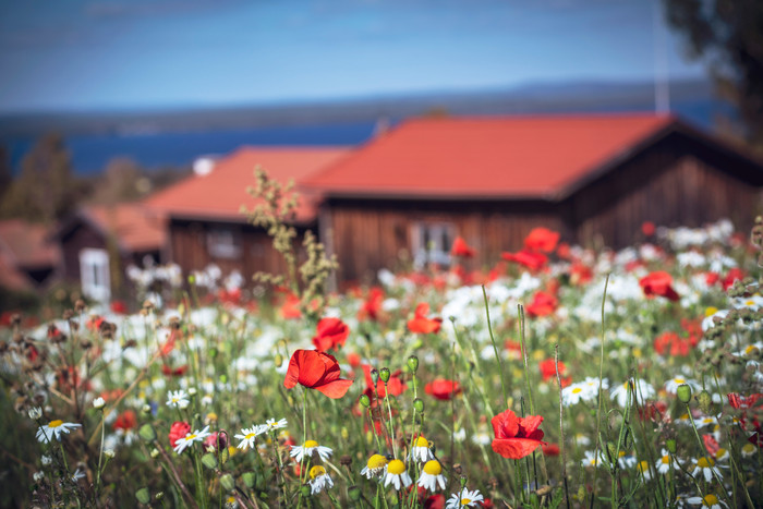 Sverige